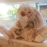 stuffed animal bunny on a windowsill with a dollar bill as a bow tie