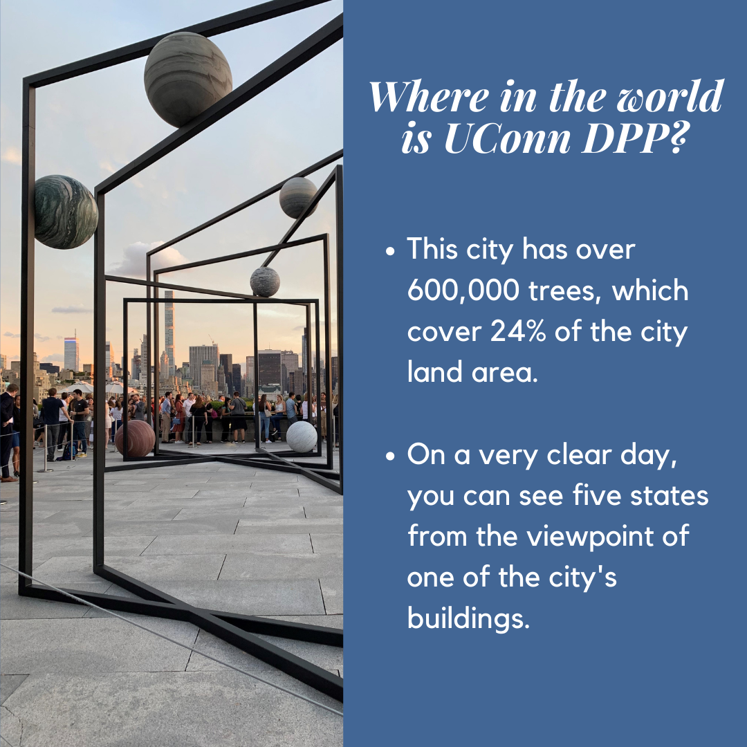 Where in the world is UConn DPP? •	This city has over 600,000 trees, which cover 24% of the city land area. •	On a very clear day, you can see five states from the viewpoint of one of the city's buildings.